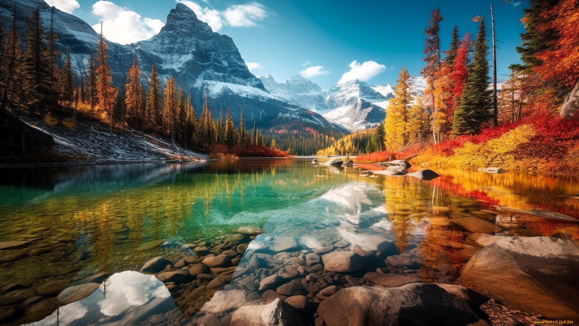 3 ,  , nature, , , , , 